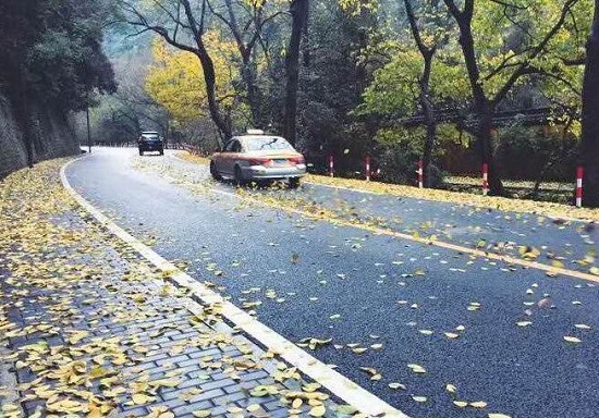 梅靈北路.jpg